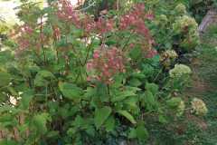 IMG-20260925-WA0004