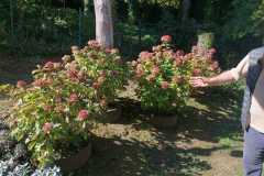 IMG-20260925-WA0005