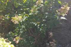 IMG-20260925-WA0006