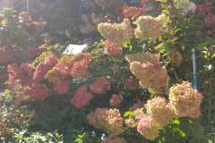 IMG-20260925-WA0009