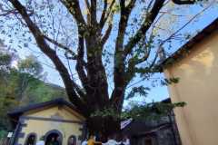 IMG-20260925-WA0012