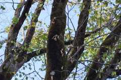 IMG-20260925-WA0013