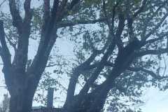 IMG-20260925-WA0020
