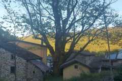 IMG-20260925-WA0022