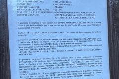 IMG-20260926-WA0002