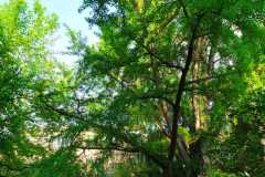 IMG-20220426-WA0037