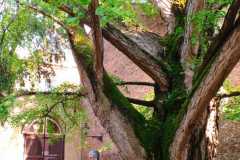 IMG-20220426-WA0038
