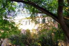 IMG-20220426-WA0039