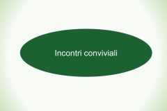 8c86870d45c340f8bcd75f4104df9879evxkvMkAPUJSWjWm-17