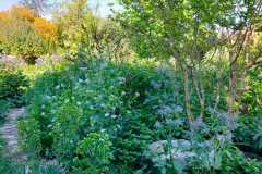 IMG-20240420-WA0018