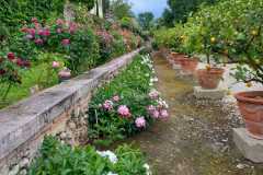 IMG-20240508-WA0000