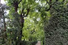 IMG-20240508-WA0003