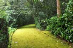 IMG-20240508-WA0005