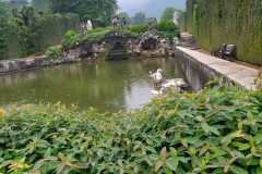 IMG-20240508-WA0007