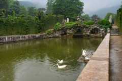 IMG-20240508-WA0008