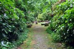 IMG-20240508-WA0014