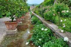 IMG-20240508-WA0015