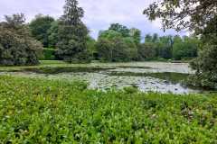 IMG-20240508-WA0018