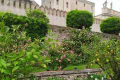 IMG-20240509-WA0008