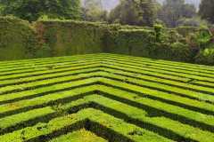 IMG-20240509-WA0014