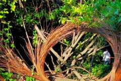 IMG-20220519-WA0036