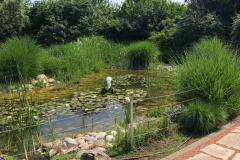 IMG-20220522-WA0011