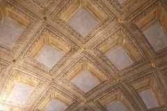 IMG-20220412-WA0015