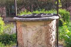 IMG-20220412-WA0019