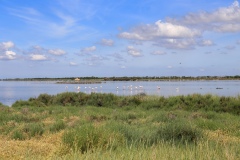 Gita-Garden-al-delta-del-Po-8.6.22-2725