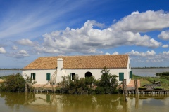 Gita-Garden-al-delta-del-Po-8.6.22-2761