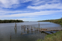 Gita-Garden-al-delta-del-Po-8.6.22-2778