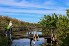 Gita-Garden-al-delta-del-Po-8.6.22-2784