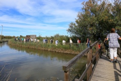 Gita-Garden-al-delta-del-Po-8.6.22-2785