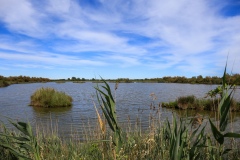 Gita-Garden-al-delta-del-Po-8.6.22-2788