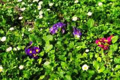 IMG-20230326-WA0003