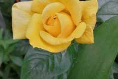 IMG-20220614-WA0023