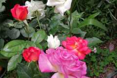 IMG-20220614-WA0024