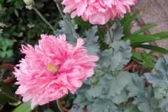 IMG-20220614-WA0027