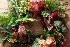 IMG-20211213-WA0021