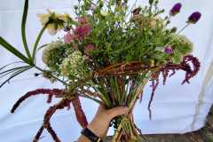 IMG-20260913-WA0001