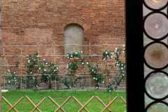 IMG-20210514-WA0020