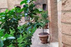 IMG-20210514-WA0027