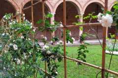 IMG-20210514-WA0028