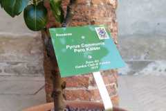 IMG-20210527-WA0022