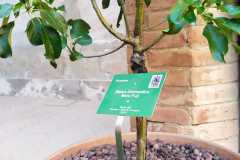IMG-20210527-WA0023