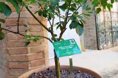 IMG-20210527-WA0024