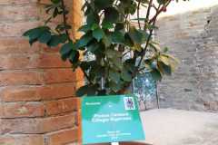 IMG-20210527-WA0025
