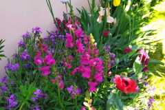 IMG-20220429-WA0020