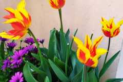 IMG-20220429-WA0028