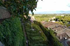 IMG-20191006-WA0019